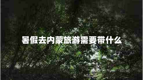 暑假去內(nèi)蒙旅游需要帶什么