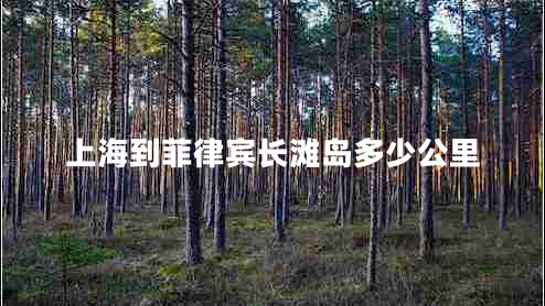 上海到菲律賓長(zhǎng)灘島多少公里