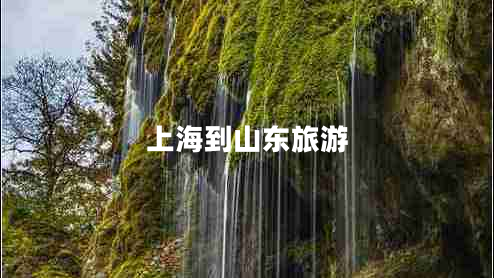上海到山東旅游