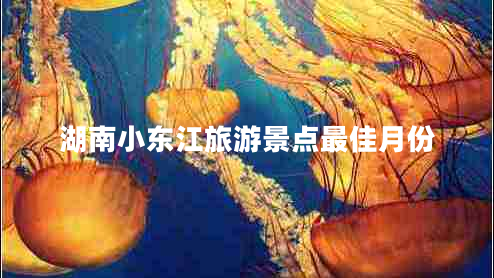 湖南小東江旅游景點最佳月份