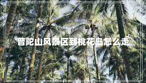 普陀山風(fēng)景區(qū)到桃花島怎么走 普陀山風(fēng)景區(qū)到桃花島怎么走