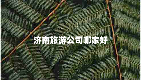 濟(jì)南旅游公司哪家好