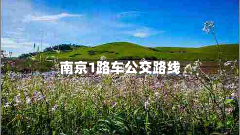 南京1路車公交路線