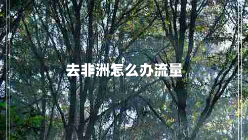 去非洲怎么辦流量 去非洲怎么辦流量