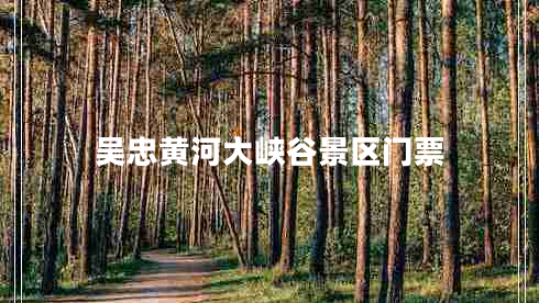 吳忠黃河大峽谷景區(qū)門票