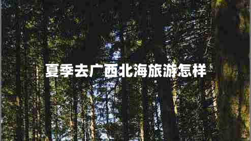 夏季去廣西北海旅游怎樣