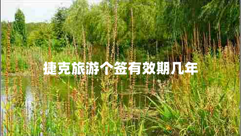 捷克旅游個簽有效期幾年