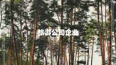 旅游公司企業(yè)