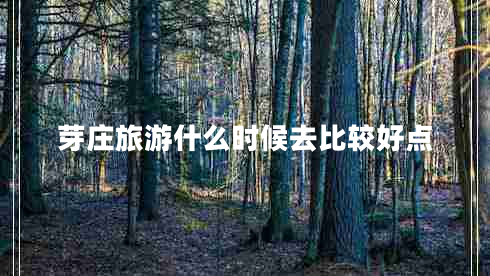 芽莊旅游什么時(shí)候去比較好點(diǎn)