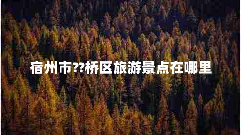 宿州市??橋區(qū)旅游景點(diǎn)在哪里 宿州市??橋區(qū)旅游景點(diǎn)在哪里