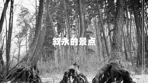 敘永的景點(diǎn) 敘永的景點(diǎn)