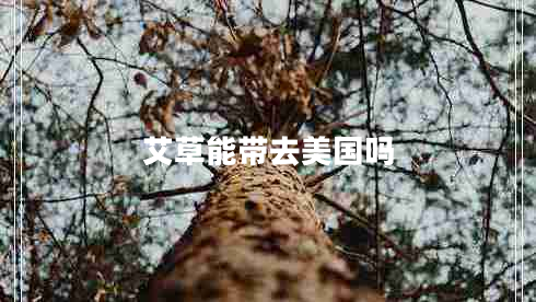 艾草能帶去美國嗎 艾草能帶去美國嗎