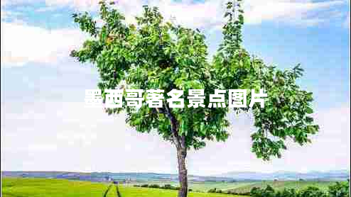 墨西哥著名景點圖片