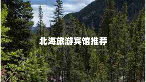 北海旅游賓館推薦 北海旅游賓館推薦