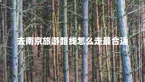 去南京旅游路線怎么走最合適 去南京旅游路線怎么走最合適