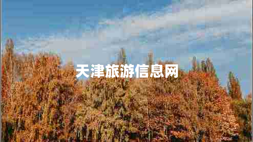 天津旅游信息網(wǎng)