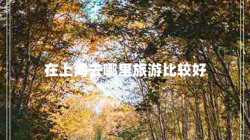 在上海去哪里旅游比較好