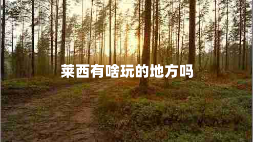 萊西有啥玩的地方嗎