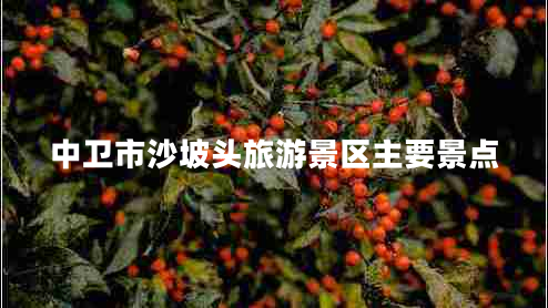 中衛(wèi)市沙坡頭旅游景區(qū)主要景點(diǎn) 中衛(wèi)市沙坡頭旅游景區(qū)主要景點(diǎn)