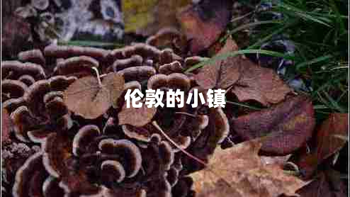 倫敦的小鎮(zhèn) 倫敦的小鎮(zhèn)