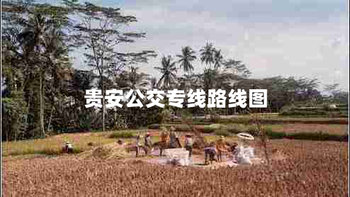 貴安公交專線路線圖