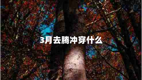 3月去騰沖穿什么 3月去騰沖穿什么