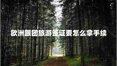 歐洲跟團旅游簽證要怎么拿手續(xù) 歐洲跟團旅游簽證要怎么拿手續(xù)