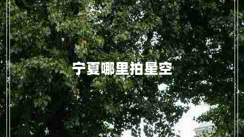 寧夏哪里拍星空