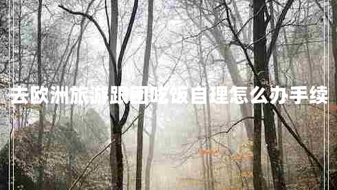 去歐洲旅游跟團(tuán)吃飯自理怎么辦手續(xù)