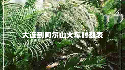 大連到阿爾山火車時(shí)刻表