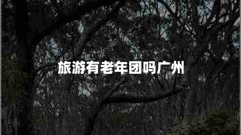 旅游有老年團嗎廣州
