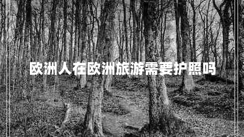 歐洲人在歐洲旅游需要護(hù)照嗎