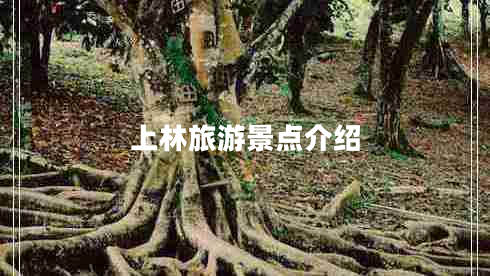 上林旅游景點(diǎn)介紹