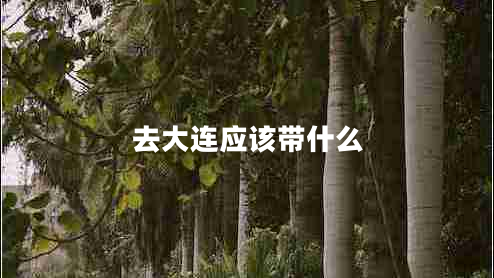 去大連應(yīng)該帶什么 去大連應(yīng)該帶什么