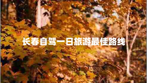 長(zhǎng)春自駕一日旅游最佳路線