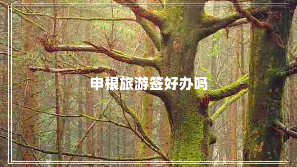 申根旅游簽好辦嗎