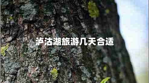 瀘沽湖旅游幾天合適