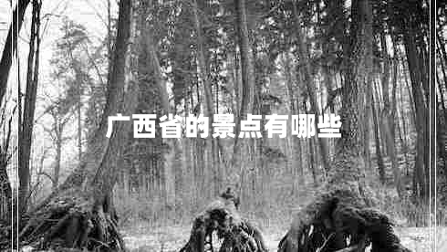 廣西省的景點有哪些 廣西省的景點有哪些