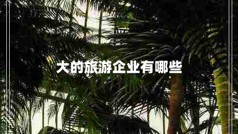 大的旅游企業(yè)有哪些