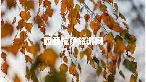 西藏拉薩旅游網(wǎng)