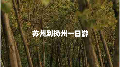 蘇州到揚(yáng)州一日游