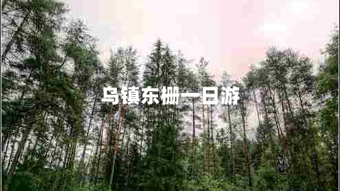 烏鎮(zhèn)東柵一日游