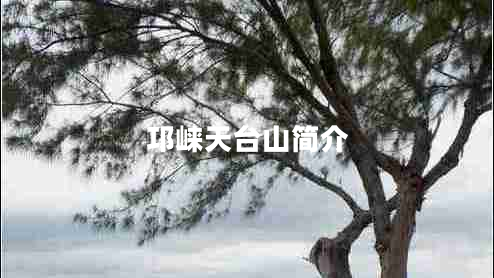 邛崍?zhí)炫_(tái)山簡(jiǎn)介