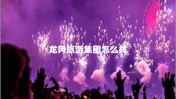 龍岡旅游集團怎么樣