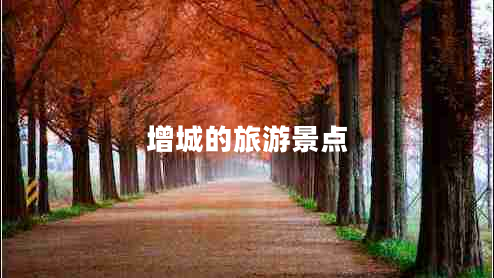 增城的旅游景點(diǎn)