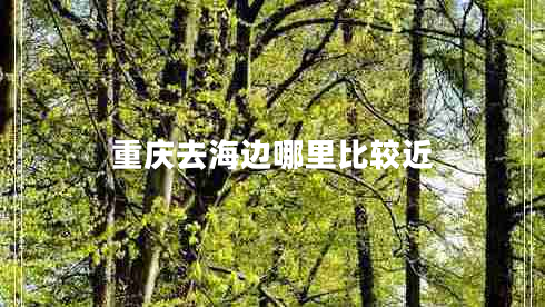 重慶去海邊哪里比較近