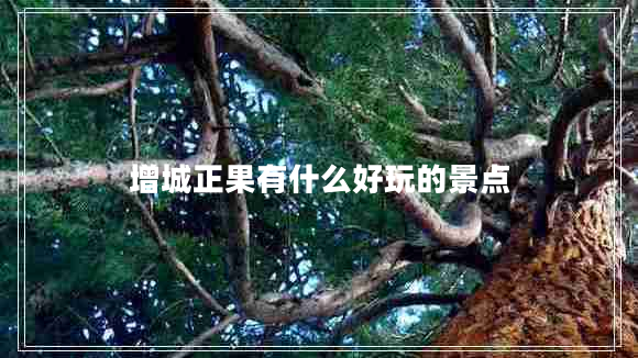 增城正果有什么好玩的景點(diǎn)