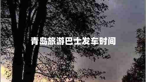 青島旅游巴士發(fā)車時(shí)間