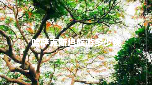 哈薩克斯坦旅游多少錢 哈薩克斯坦旅游多少錢