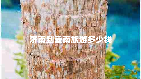 濟(jì)南到云南旅游多少錢